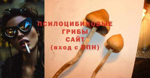 прущая мука Алзамай