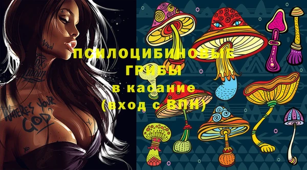 прущая мука Алзамай