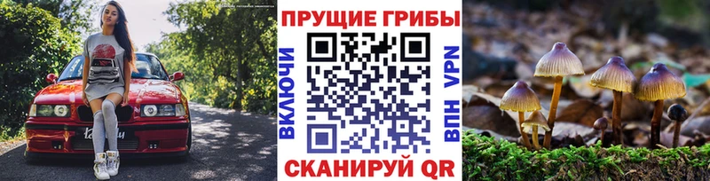 Галлюциногенные грибы Cubensis  Теберда 