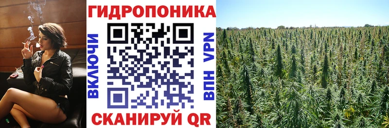 Конопля ГИДРОПОН  цены наркотик  Теберда 
